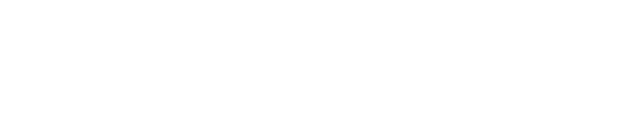 SOLE Fitness México